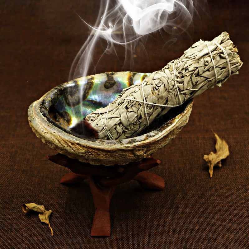White Sage Smoke Shell with accessories